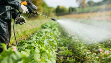 Pesticides