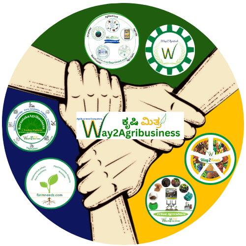 Our Online Services Network