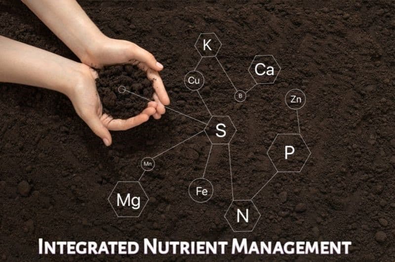 Organic Nutrients