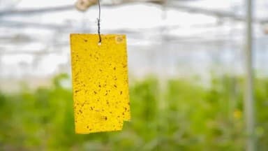 Bio-Technical Methods