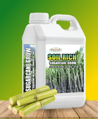 Amruth Sugarcane Microbial Consortia (SMC) - Growth Promoter