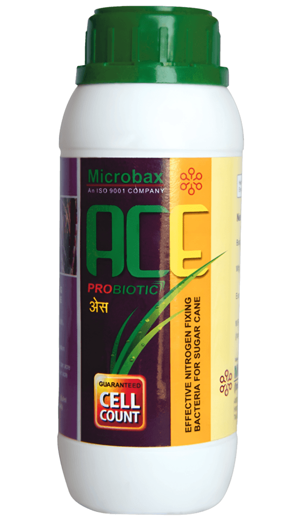 Microbax ACE Bio Fertilizer NFB for Plant Growth and Development