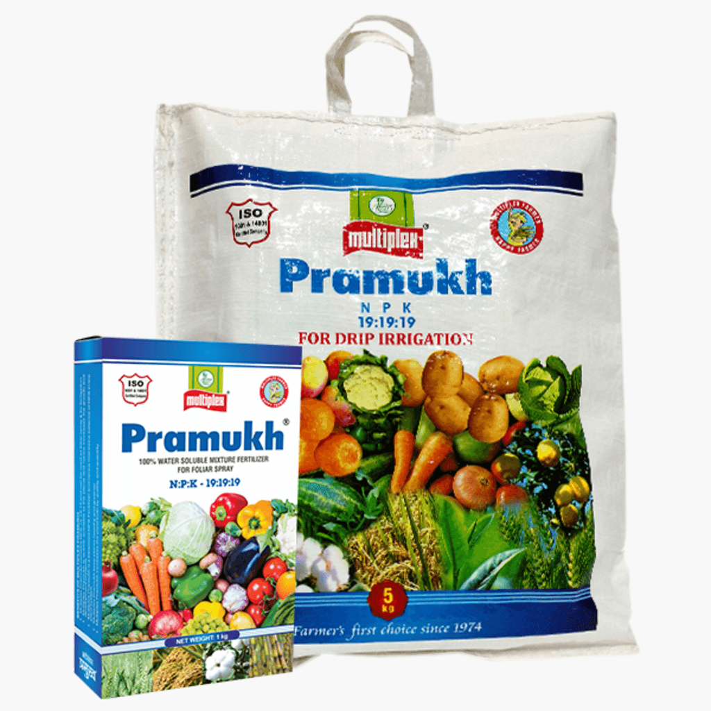 Multiplex Pramukh (19:19:19) Water Soluble NPK Fertilizer