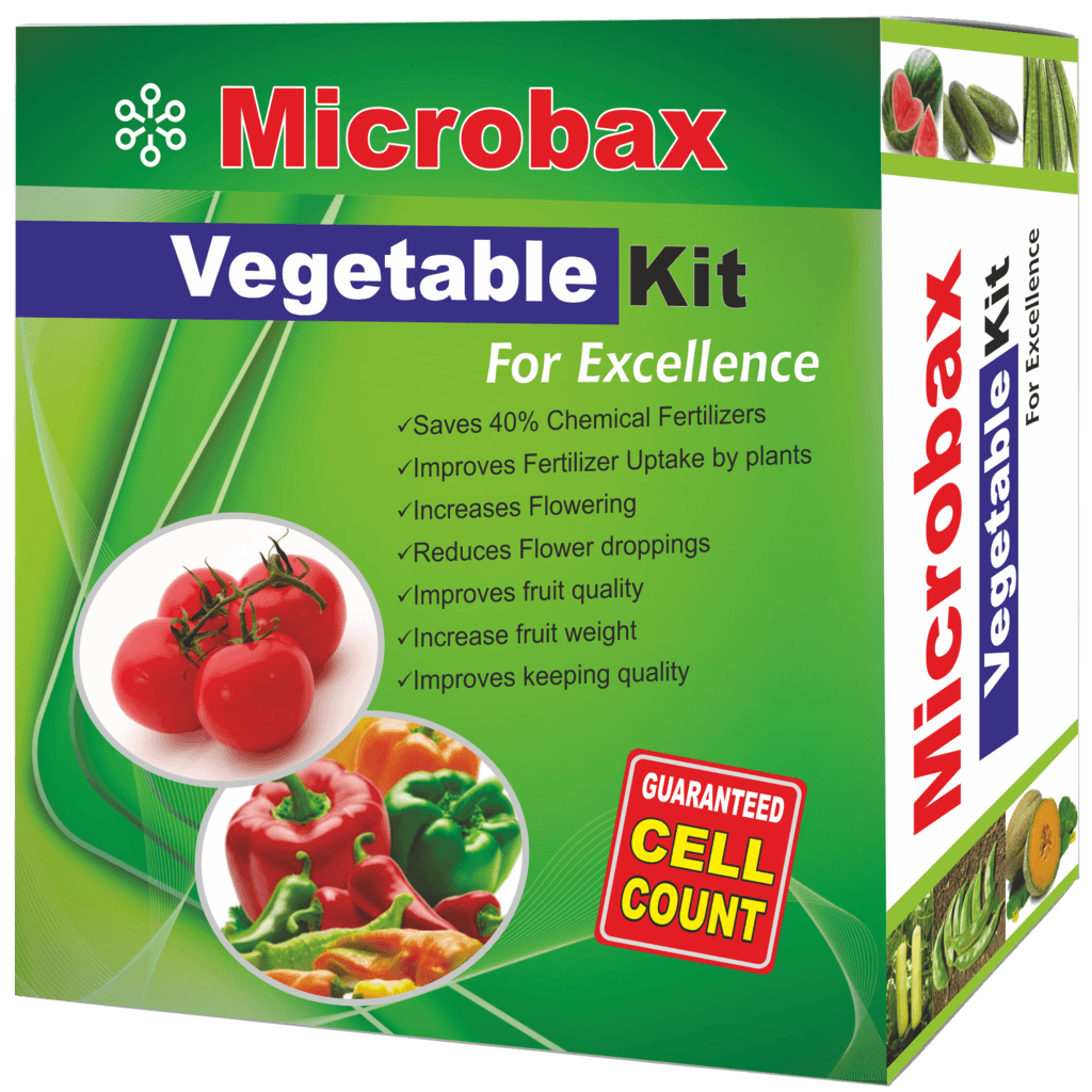 Vegetable Kit - All Nutrient Mixture