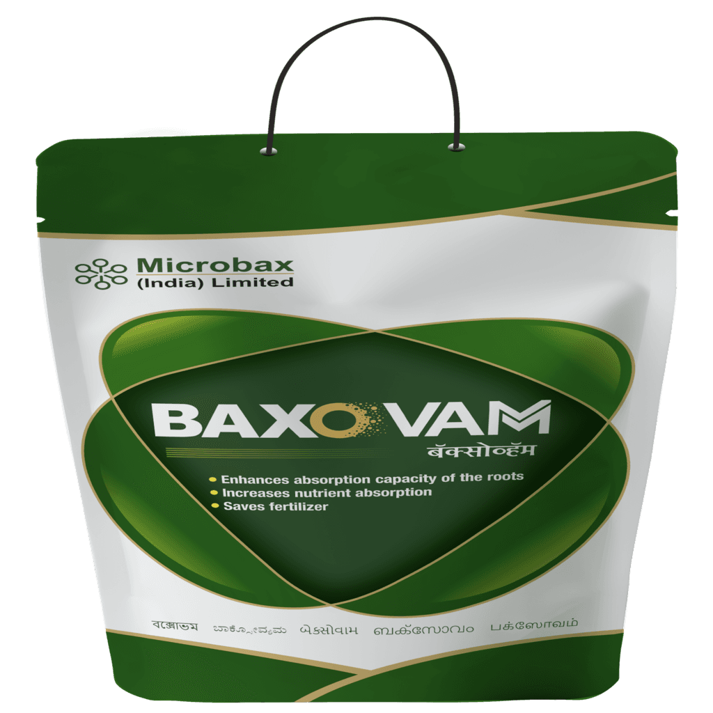 Baxo Vam Mycorrhiza Biofertilizer for Root Growth