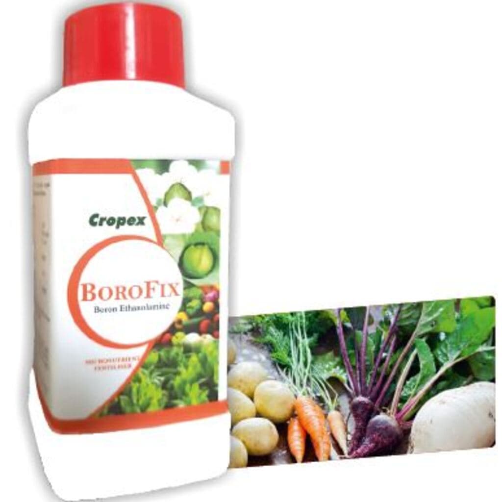 Boron Ethanolamine Liquid Micronutrient Fertilizer