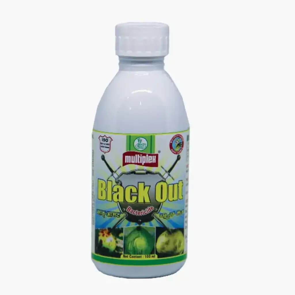 Black Out - Immunomodulator Bactericide