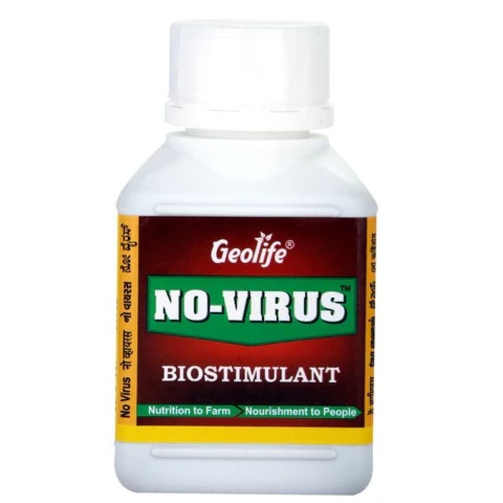 No-Virus - Broad Spectrum Herbal Antiviral Immunity Booster