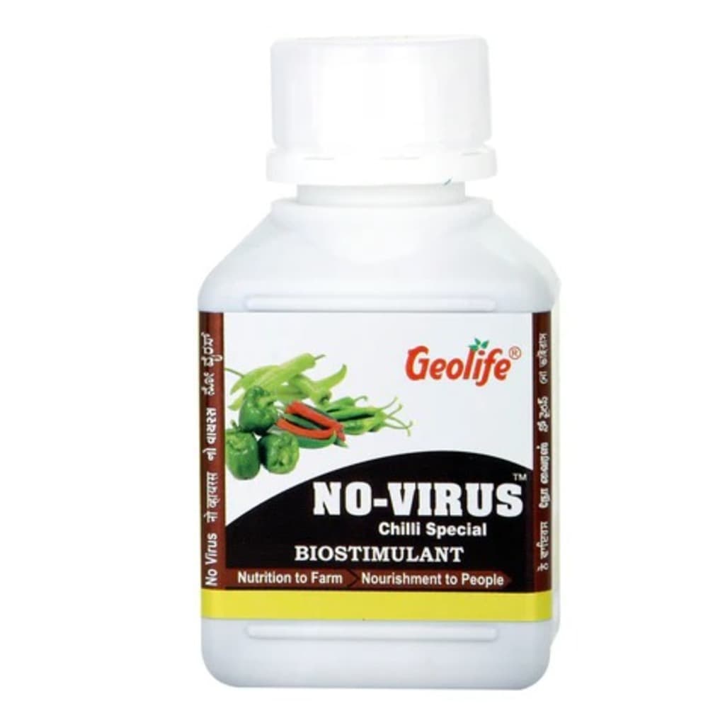 No-Virus Chilli Special - Immunity Booster